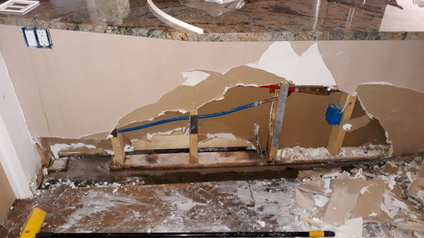 Best Local water damage restoration  in Mays Landing, NJ