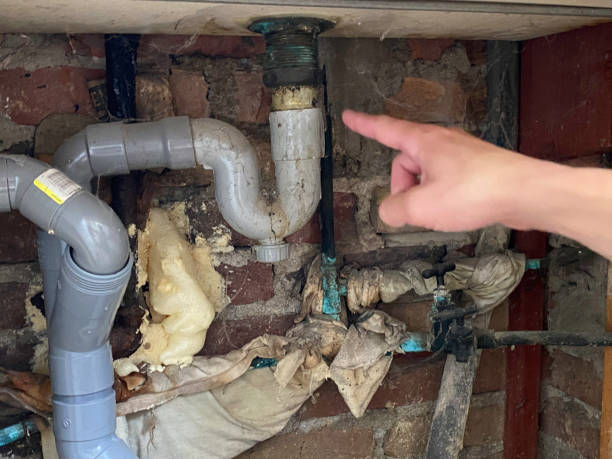 Best 24/7 water damage repair  in Mays Landing, NJ