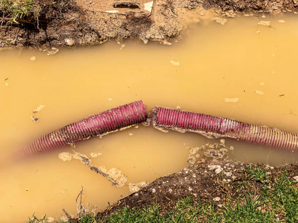 Best Local water damage restoration  in Mays Landing, NJ